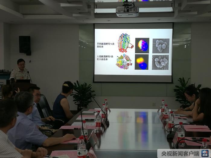 中国科学家成功创建世界首例人工单染色体真核细胞