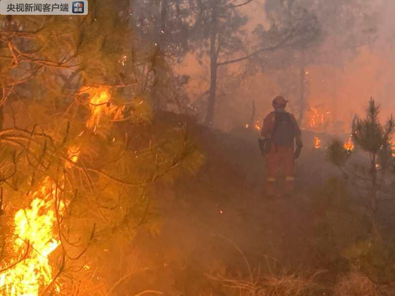 云南丽江城郊发生森林火灾 180余人及直升机扑救
