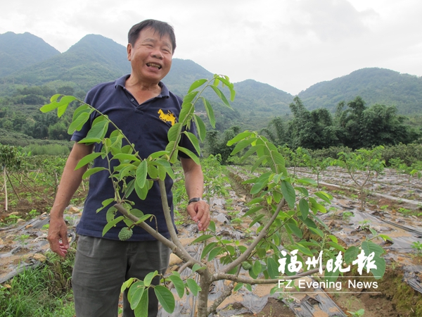 台湾杰出农民 在福清干得风生水起