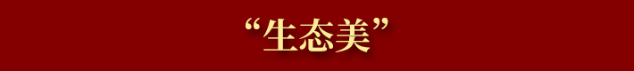 只争朝夕，不负韶华！2020福清更精彩！