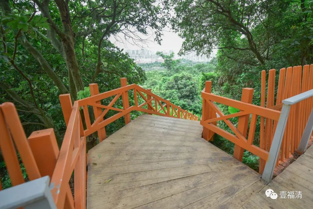 福清“山体公园步道”开挂！步步都是打卡点！