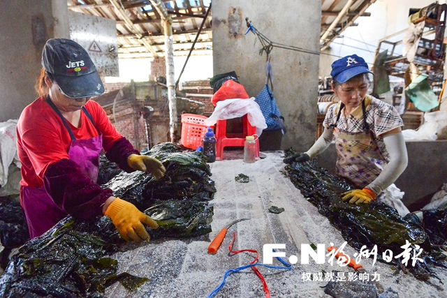 福清：以海为弦 老区村弹奏致富新乐章