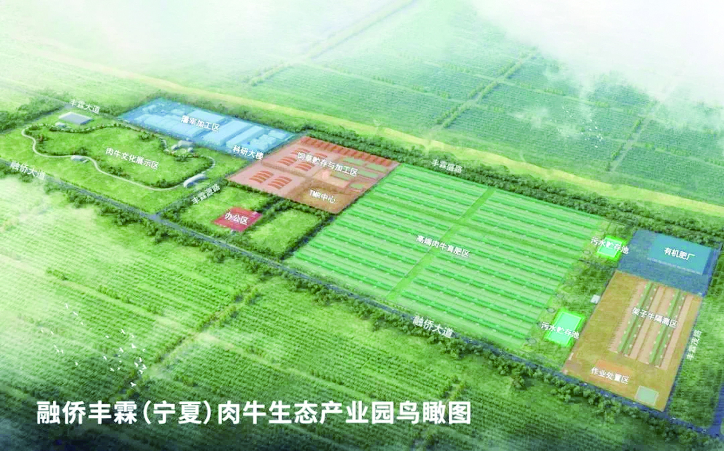 融侨集团在宁夏固原投资建设肉牛生态产业园