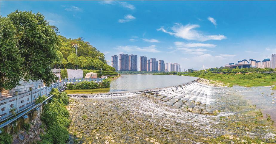 五年征程同筑梦 砥砺深耕强富美