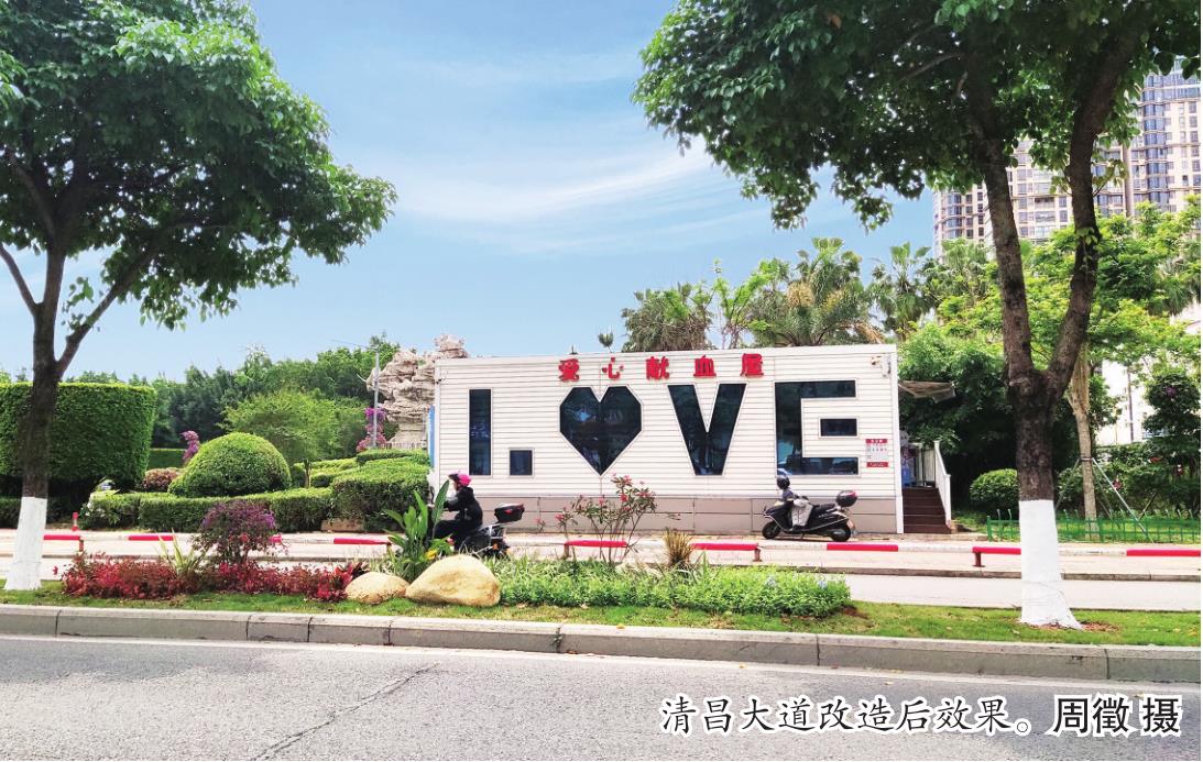 我市城区道路两侧披上了“绿丝带”