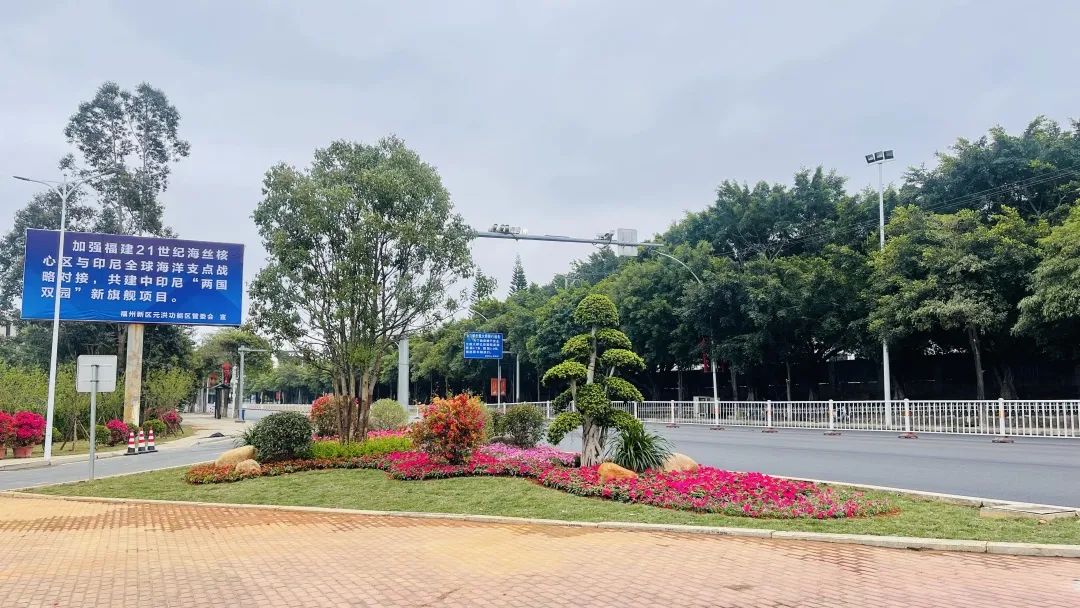 海城路元华路沿线景观提升工程全面完工