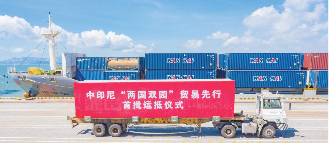 五年征程同筑梦 砥砺深耕强富美