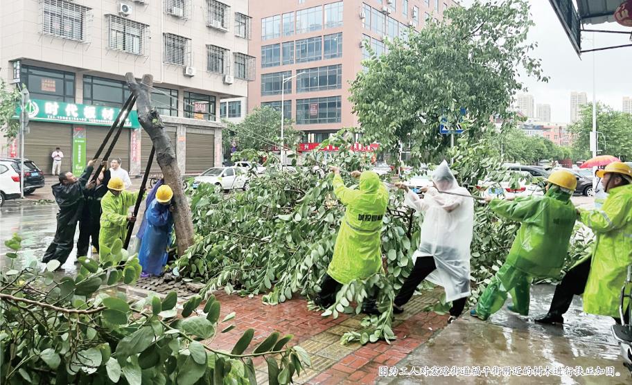 我市快速处置倒伏树木  保障城市安全顺畅运行