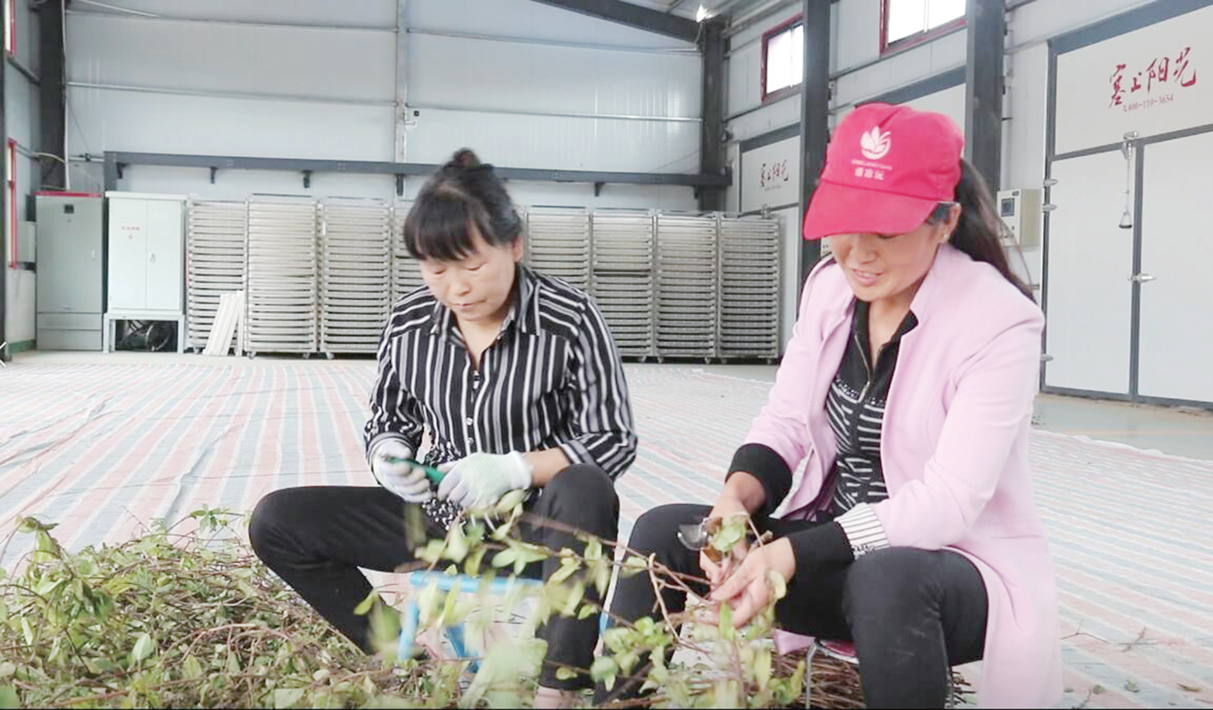 念好山海经 共筑幸福梦——福清对口扶贫工作综述