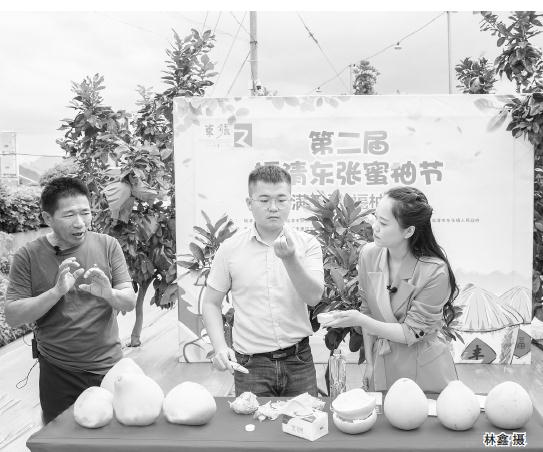 第二届福清东张蜜柚节拉帷