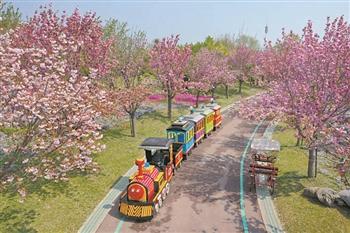  两部委：游客量不得超最大承载量30%