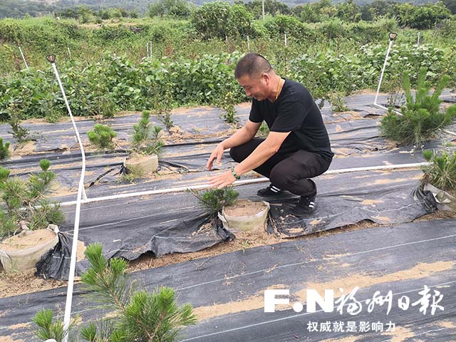 福清黄墩村乡贤牵头创建农民创业园带领村民致富