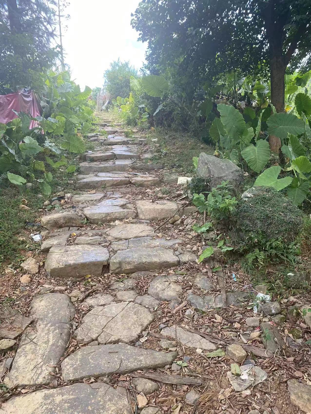 福清发现黄檗希运禅师出生地旧址