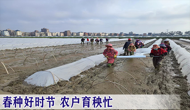 春种好时节 农户育秧忙